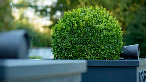 Sonance GARDEN-SERIES SGS 8.1