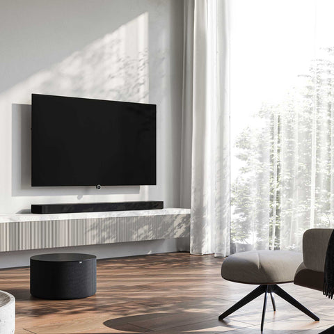 Loewe bild i.48 DR+ (48")