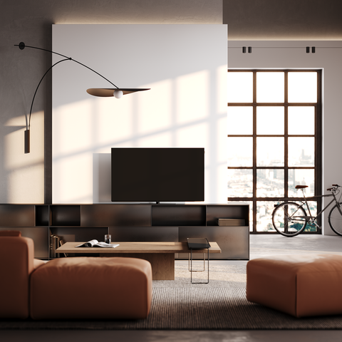Loewe We. SEE 48" oled