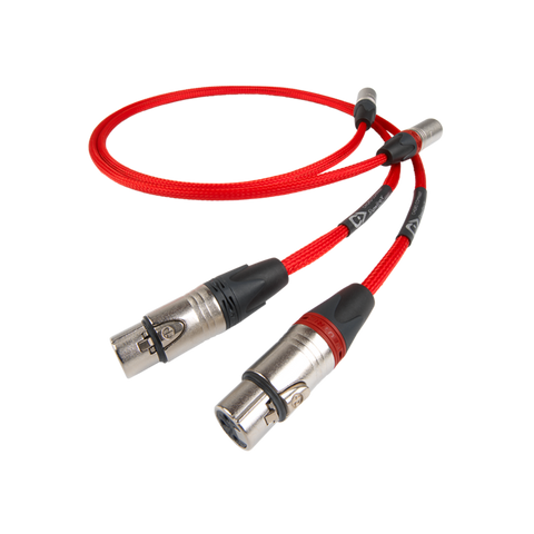 Chord ShawlineX XLR