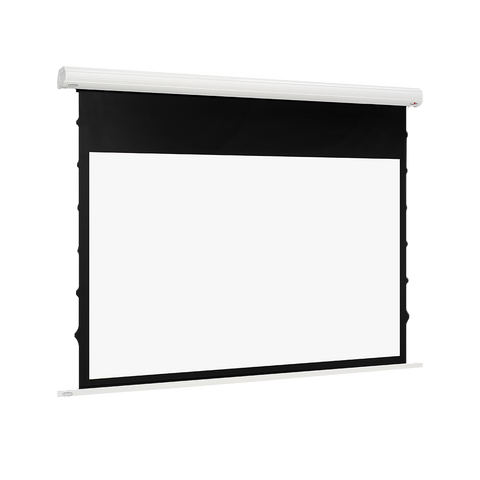 Euroscreen Diplomat