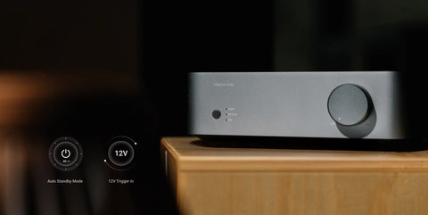 WiiM Vibelink Amp