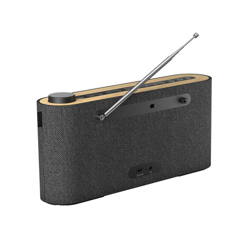 Loewe Radio.Frequency