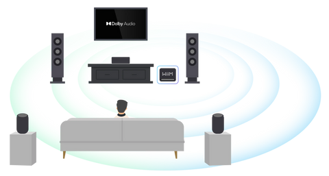 WiiM Sub Pro
