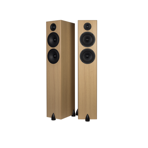 Totem Bison Twin Tower