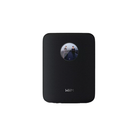 WiiM Sound