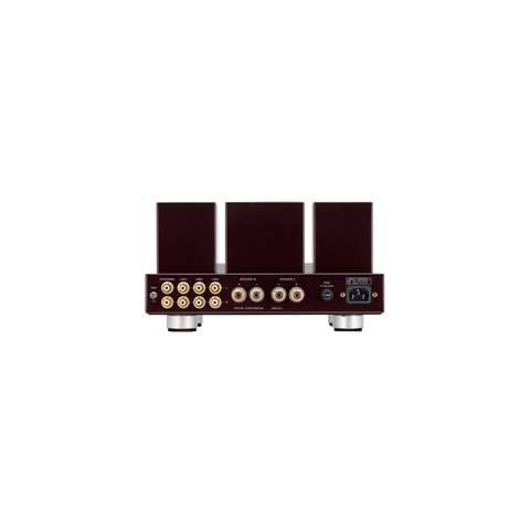 Triode Luminous 84 Integrated Amplifier
