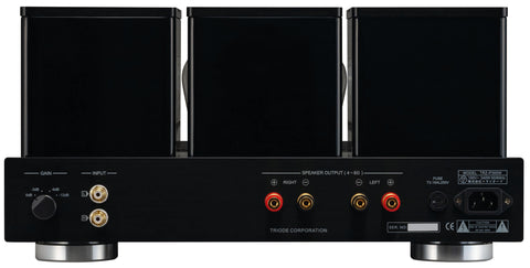 Triode TRZ-P300W