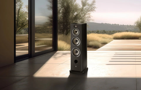 Focal 948 Aria (inbyte)