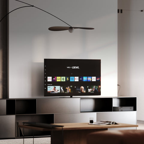 Loewe We. SEE 48" oled