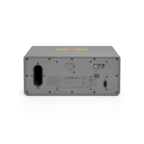 Audio Pro D2 W